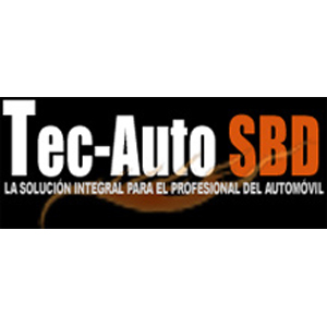 Foto Asesoramiento al profesional del automóvil